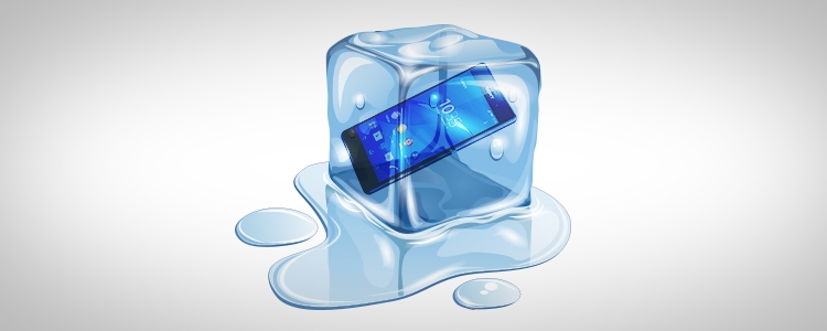 Mobile Phone Security 